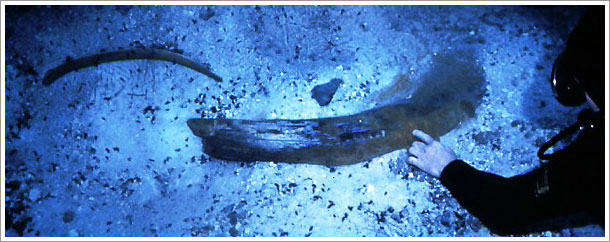 Diver at prehisotic site
