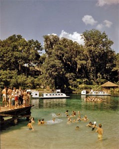 1950s photo of people and glass bottom tour boats at Rainbow Springs