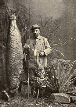 Vintage photo of man with huge fish.