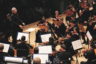 Photo of New World Symphony in performance