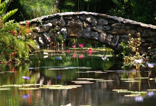 Photo of a stone bridge over water at McKee Botanical Garden