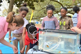Photo of children with a science exhibit outdoors
